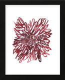 Abstract Dahlia (Framed) -  Kiana Mosley - McGaw Graphics