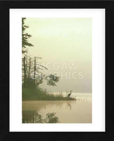 Lone Heron (Framed) -  Orah Moore - McGaw Graphics