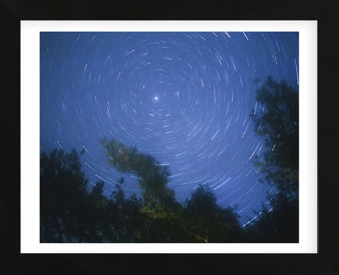 Starry, Starry Night (Framed) -  Orah Moore - McGaw Graphics