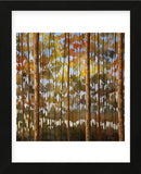 Tarnished Wood (Framed) -  Shawn Meharg - McGaw Graphics