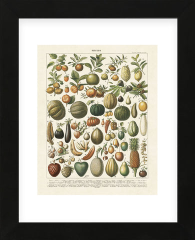 Fruits I (Framed) -  Adolphe Millot - McGaw Graphics