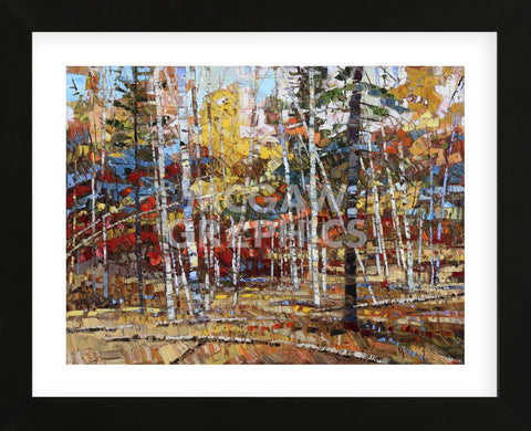 Glory of Autumn (Framed) -  Robert Moore - McGaw Graphics