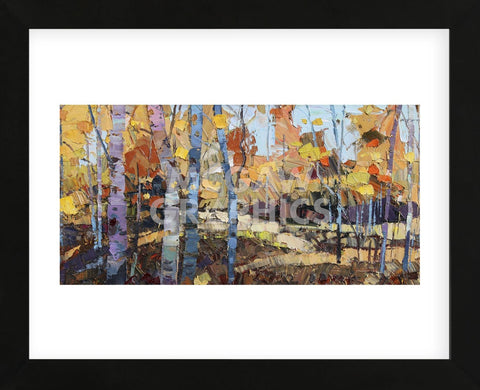 Cools of Autumn (Framed) -  Robert Moore - McGaw Graphics