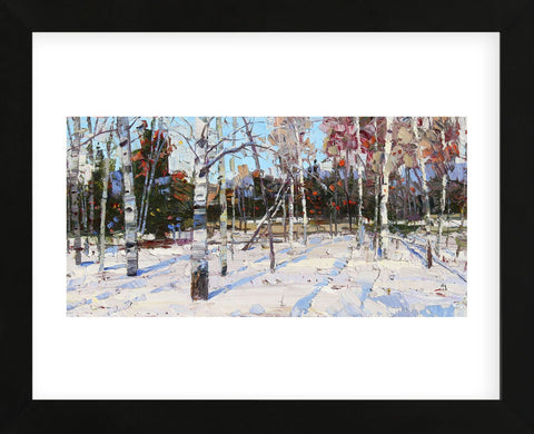 Best of Winter (Framed) -  Robert Moore - McGaw Graphics