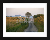 Going Places (Framed) -  Orah Moore - McGaw Graphics