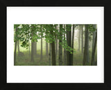 Green Woods (Framed) -  Orah Moore - McGaw Graphics