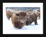 Scottish Highlanders (Framed) -  Orah Moore - McGaw Graphics