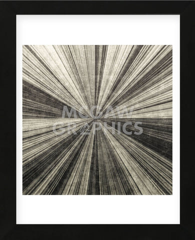 Silver Burst (Framed) -  Mali Nave - McGaw Graphics