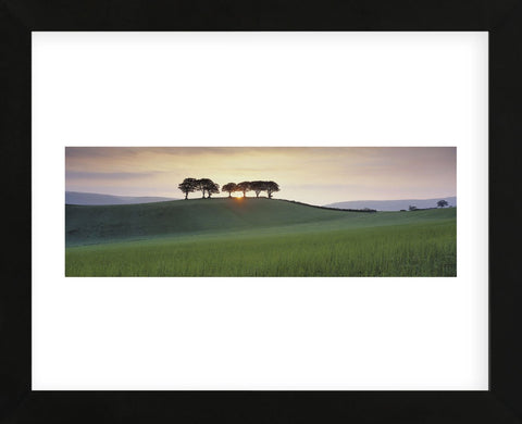Somerset Sunrise  (Framed) -  David Noton - McGaw Graphics