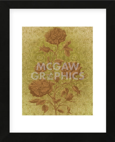 Amalia Roses  (Framed) -  Mali Nave - McGaw Graphics