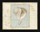 Soothing Words Shells IV (Framed) -  Lisa Audit - McGaw Graphics