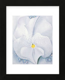 White Pansy, 1927  (Framed) -  Georgia O'Keeffe - McGaw Graphics