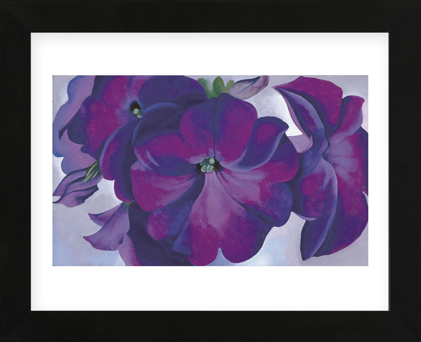 Petunias, 1925 (Framed) | McGaw Graphics