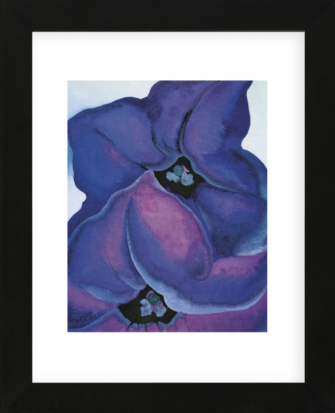 Black and Purple Petunias – PostersofSantaFe.com