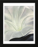 Morning Glory with Black, 1926 (Framed) -  Georgia O'Keeffe - McGaw Graphics