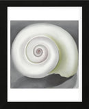 Shell No. I, 1928 (Framed) -  Georgia O'Keeffe - McGaw Graphics