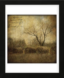 Hayrollers (Framed) -  Dawne Polis - McGaw Graphics