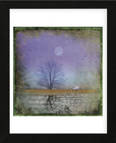 Moonlight in Vermont (Framed) -  Dawne Polis - McGaw Graphics