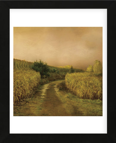 Sunset Cornfield (Framed) -  Dawne Polis - McGaw Graphics