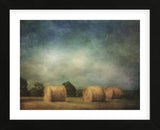 Hay Rolls (Framed) -  Dawne Polis - McGaw Graphics