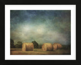 Hay Rolls (Framed) -  Dawne Polis - McGaw Graphics