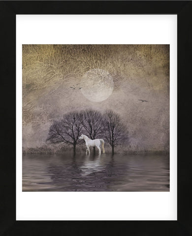 White Horse in Pond (Framed) -  Dawne Polis - McGaw Graphics