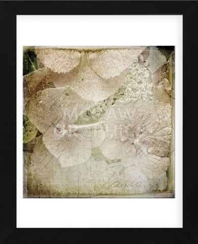 Hydrangeas 4 (Framed) -  Dawne Polis - McGaw Graphics