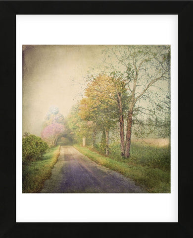 Sweet Road (Framed) -  Dawne Polis - McGaw Graphics