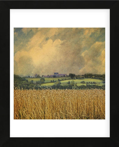 Picardy Wheat (Framed) -  Dawne Polis - McGaw Graphics