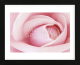 Pink  (Framed) -  Brian Leighton - McGaw Graphics