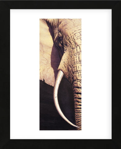 Tusk (Framed) -  Mitch Ridder - McGaw Graphics