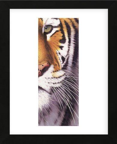 Tiger Eye  (Framed) -  Mitch Ridder - McGaw Graphics