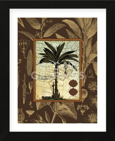 Banana Palm (Brown)  (Framed) -  Karl Rattner - McGaw Graphics