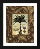 Date Palm  (Framed) -  Karl Rattner - McGaw Graphics