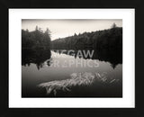 Misty Morning  (Framed) -  Andrew Ren - McGaw Graphics