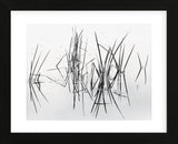 Lake of Two Rivers  (Framed) -  Andrew Ren - McGaw Graphics