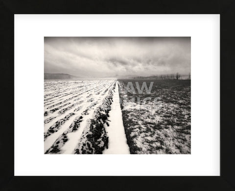 Stormy Field  (Framed) -  Andrew Ren - McGaw Graphics