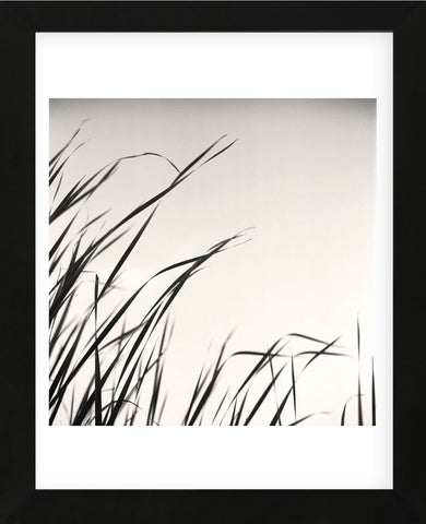Beaver Pond, Study #1  (Framed) -  Andrew Ren - McGaw Graphics