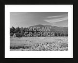 Adirondack Field (Framed) -  Erik Richards - McGaw Graphics