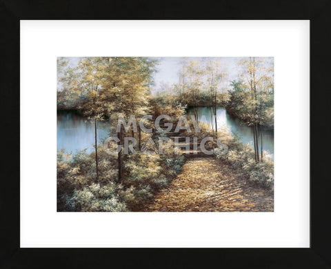 Autumn Leaves  (Framed) -  Diane Romanello - McGaw Graphics