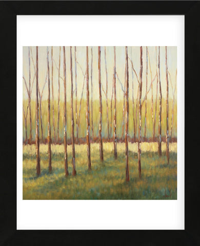 Grove of Trees (Framed) -  Libby Smart - McGaw Graphics
