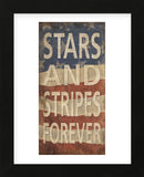 Stars and Stripes Forever (Framed) -  Sparx Studio - McGaw Graphics