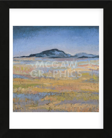 Field in Magical Light (Framed) -  Jeannie Sellmer - McGaw Graphics