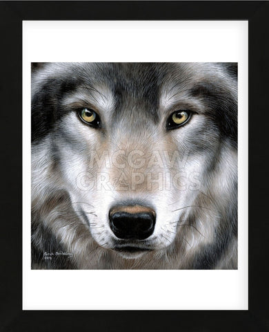 Grey Wolf Portrait (Framed) -  Sarah Stribbling - McGaw Graphics