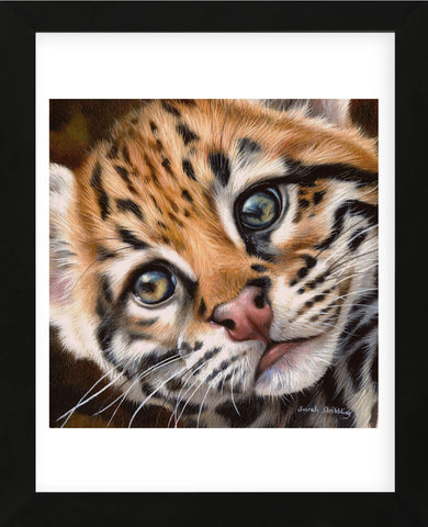 Ocelot Kitten (Framed) -  Sarah Stribbling - McGaw Graphics