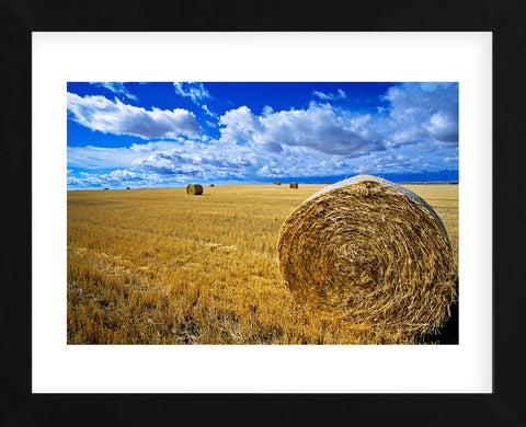 Hay & Sky (Framed) -  Jason Savage - McGaw Graphics