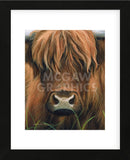 Cow Portrait (Framed) -  Sarah Stribbling - McGaw Graphics