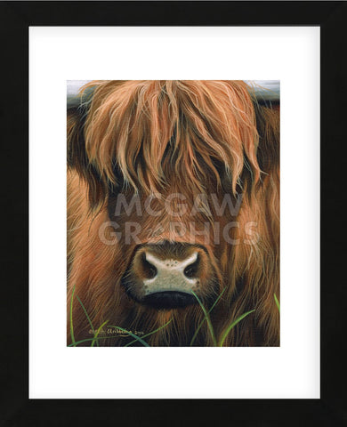 Cow Portrait (Framed) -  Sarah Stribbling - McGaw Graphics