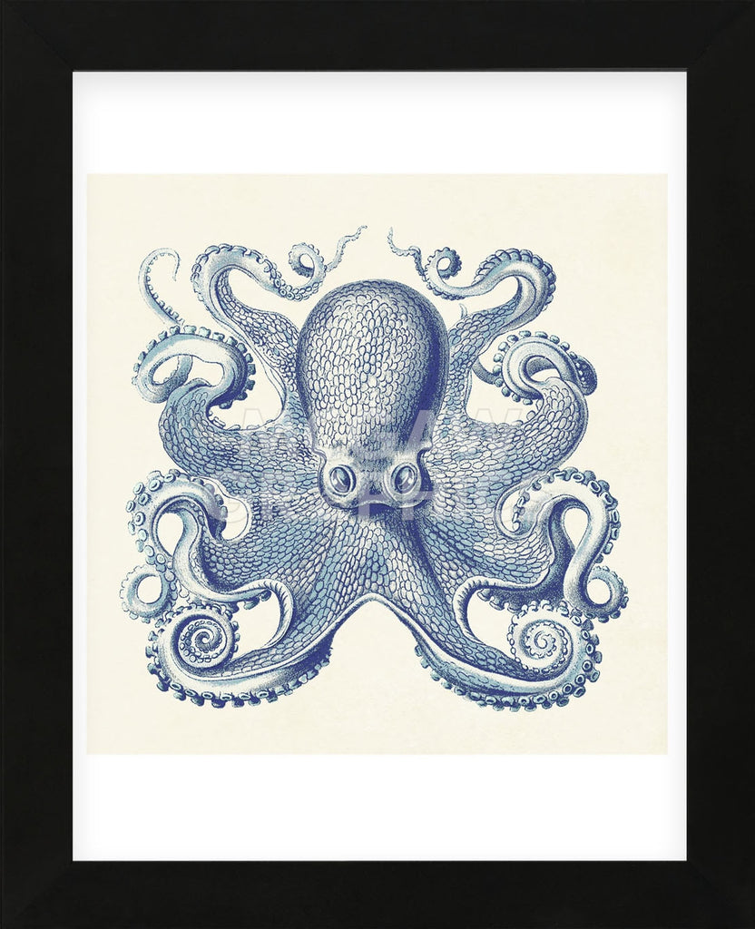 Octapus Frame Octopus I (Framed) | McGaw Graphics