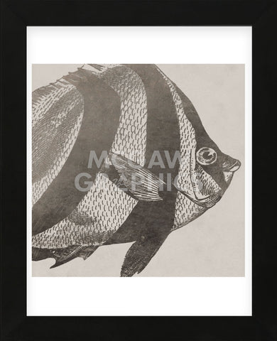 Vintage Fish I (Framed) -  Sparx Studio - McGaw Graphics